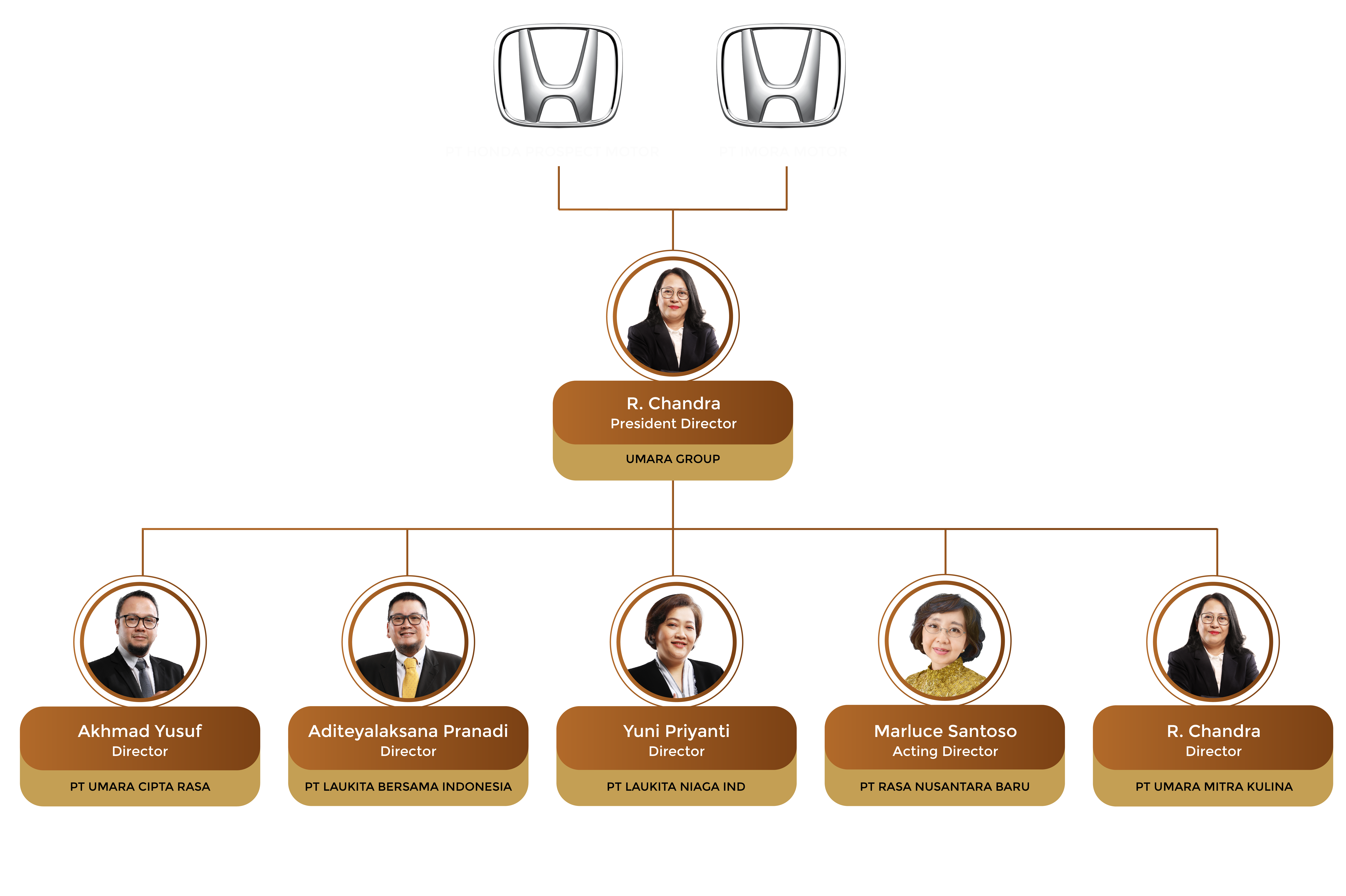 Organization Structure